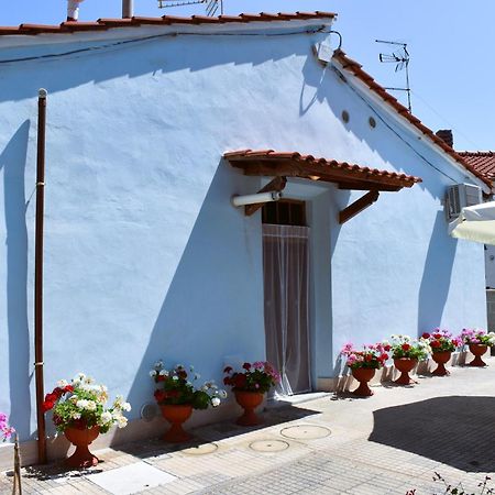 Villino La Perla Azzurra- Marina Di Pisa Villa Buitenkant foto