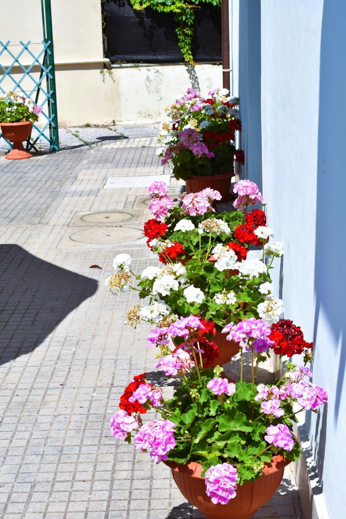 Villino La Perla Azzurra- Marina Di Pisa Villa Buitenkant foto